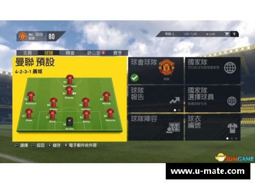 中国顶尖球员及其职业生涯的精彩回顾