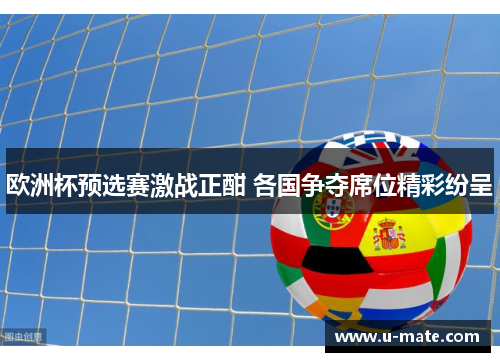 欧洲杯预选赛激战正酣 各国争夺席位精彩纷呈