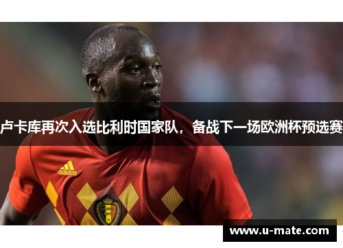 卢卡库再次入选比利时国家队，备战下一场欧洲杯预选赛