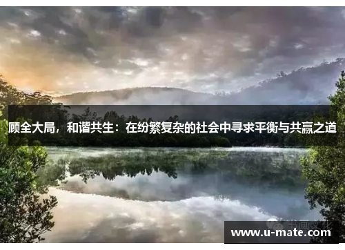 顾全大局，和谐共生：在纷繁复杂的社会中寻求平衡与共赢之道